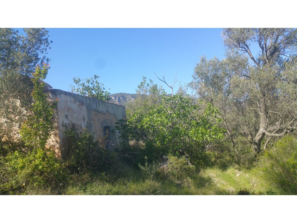 Finca en San Rafael Del Rio, Castellon - foto 5